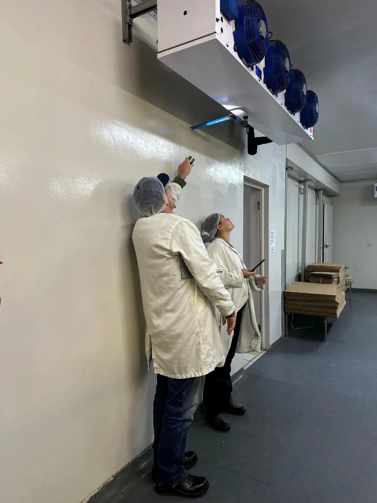 ASC specialists inspecting a cold room wall and insect unit in a food facility