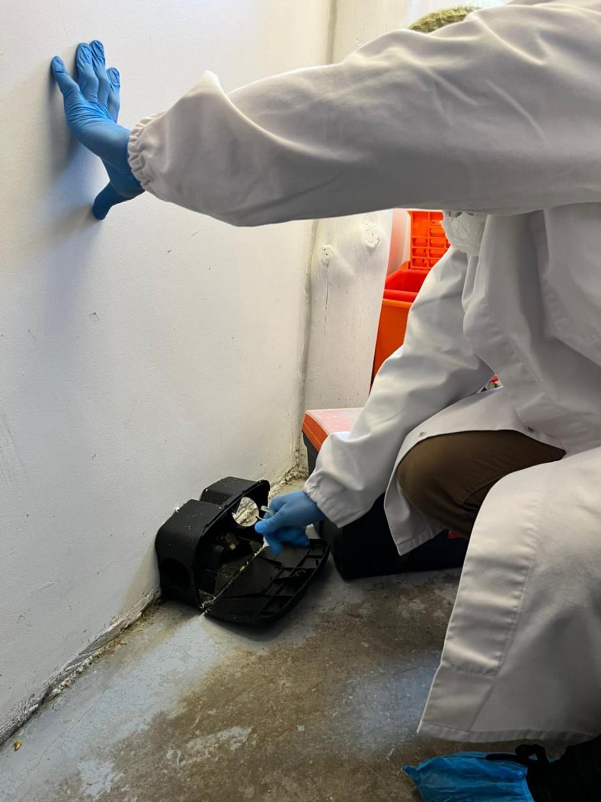 ASC pest control operator servicing a numbered rodent bait station at a Gqeberha commercial facility