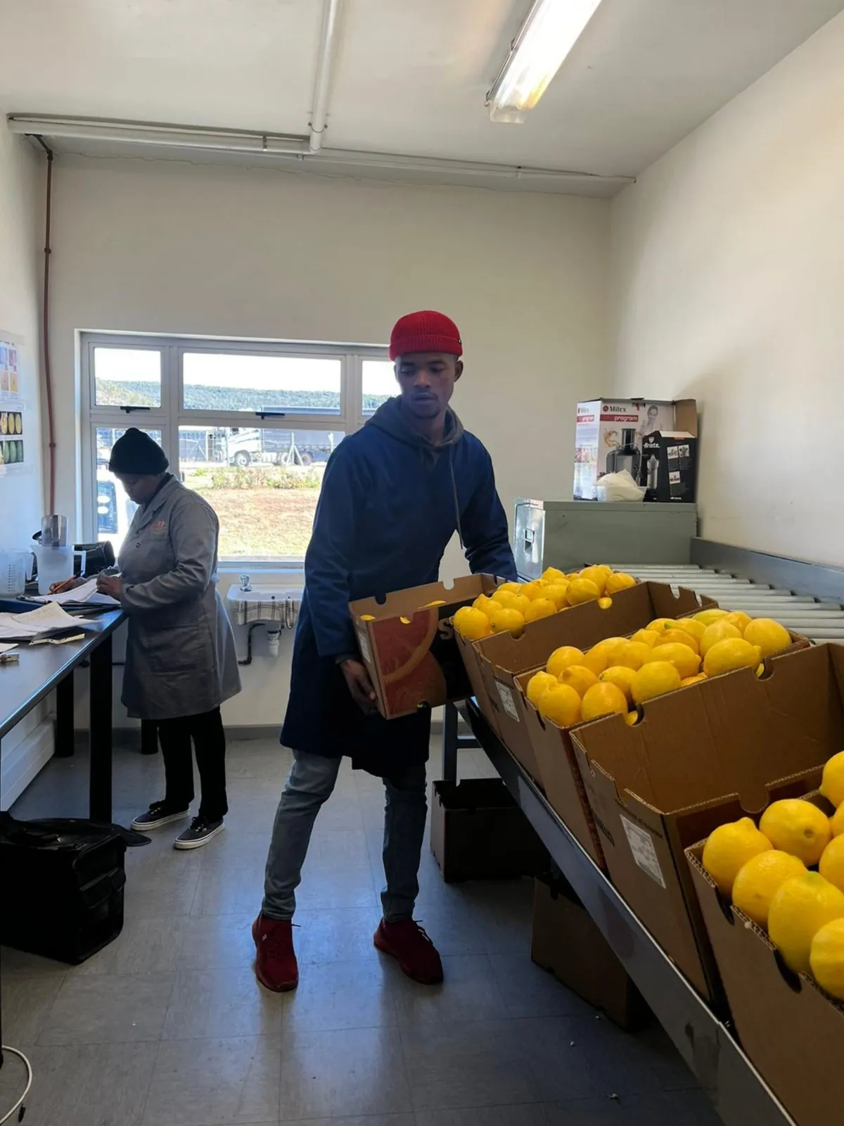 Citrus being handled in an Eastern Cape packhouse protected by ASC Pest Control